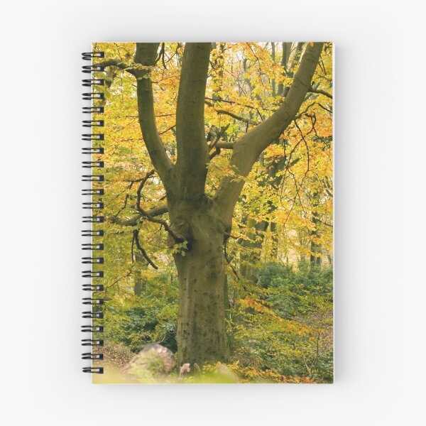 Item preview, autumn birch designed and sold by kathywaldron.