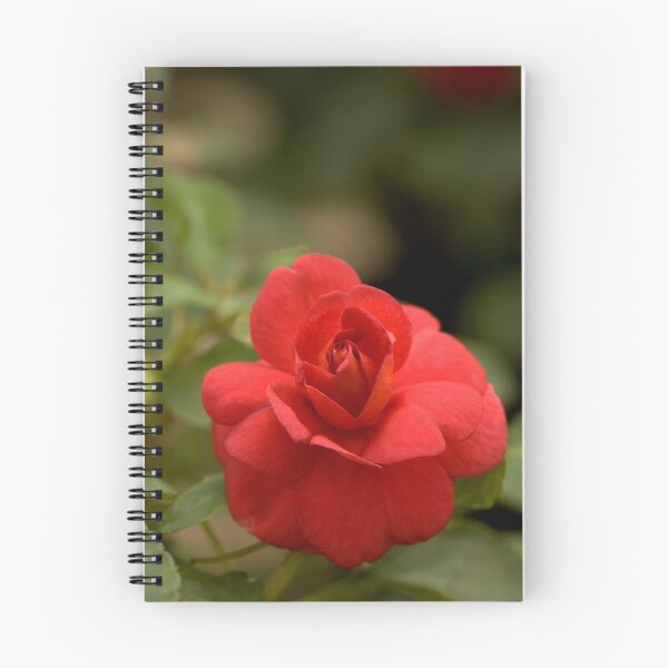 Item preview, Double Red Impatiens designed and sold by Dency Kane.