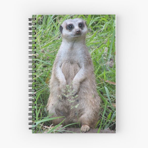Item preview, I'm Ready, Picture Please! designed and sold by Kristy Robb.
