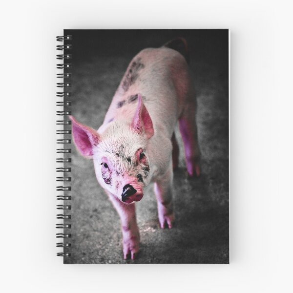 Item preview, Rosado designed and sold by Paul Grinzi.