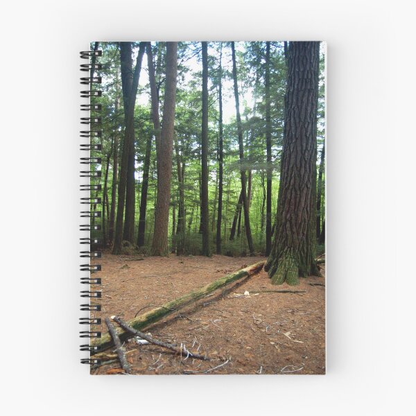 Item preview, Fallen Tree designed and sold by Tim Ray.