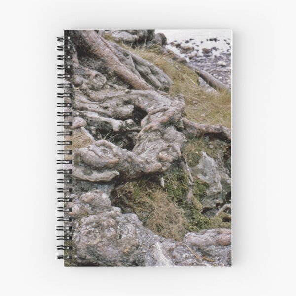 Item preview, Cumbrian Roots. designed and sold by TimHatcher.