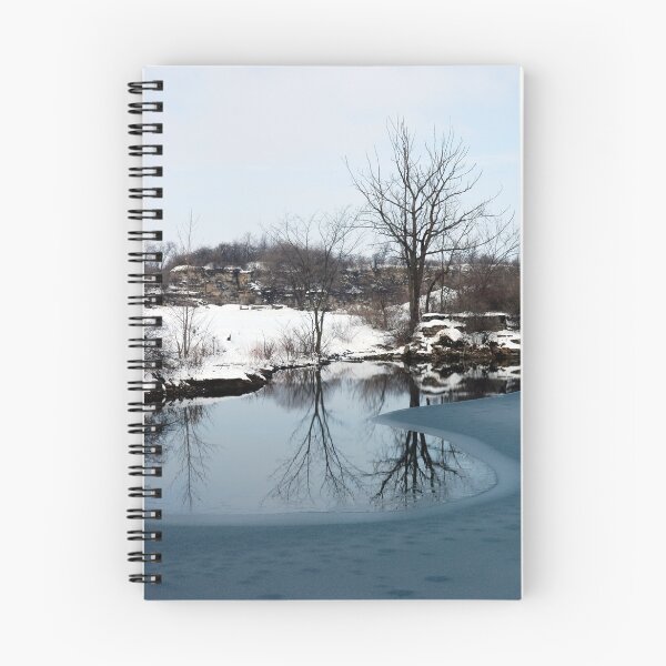 Item preview, Winter Beauty designed and sold by dumbomsa.