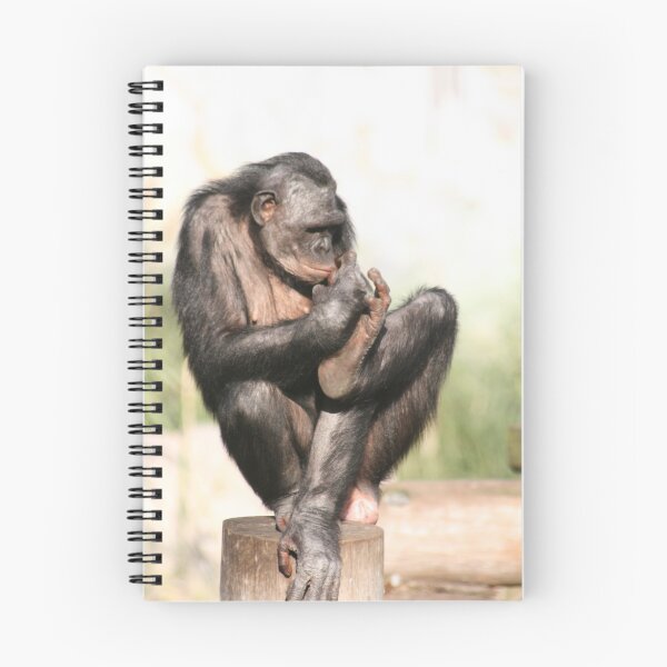 Item preview, THIS LITTLE PIGGY GOES TO MARKET designed and sold by Dana Yoachum.