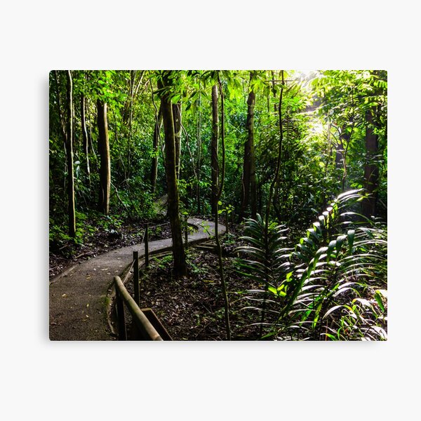 Jungle Green Canvas Print
