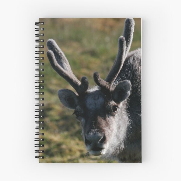 Item preview, Reindeer designed and sold by Steve Bulford.