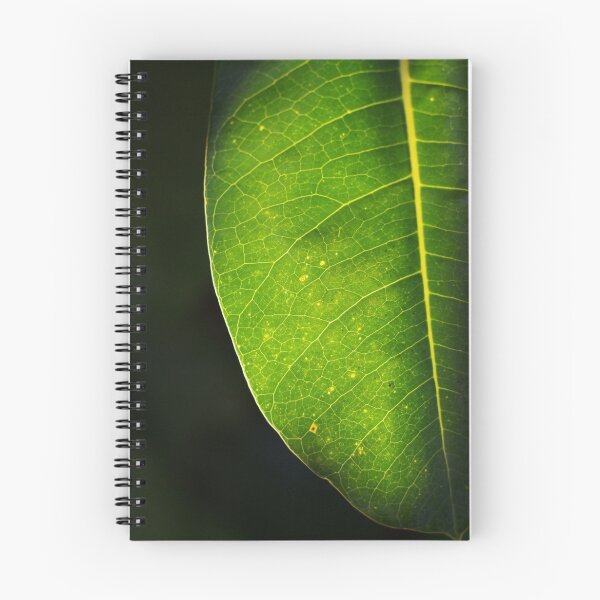 Item preview, Leaf Map designed and sold by Sam Hegarty.