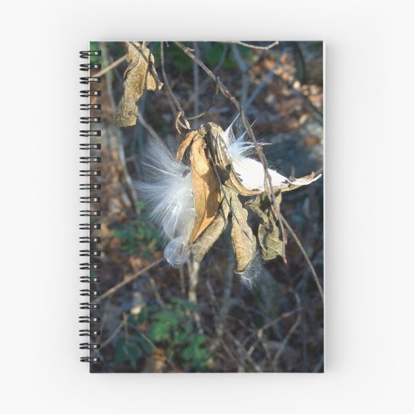 Item preview, Autumn Milk Weed designed and sold by Walter Strength.