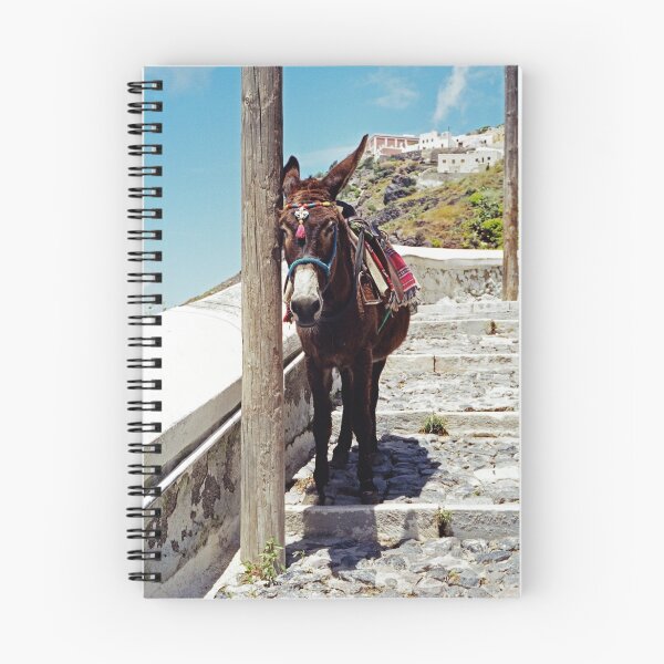 Item preview, Just Resting, Santorini designed and sold by Leigh Penfold.