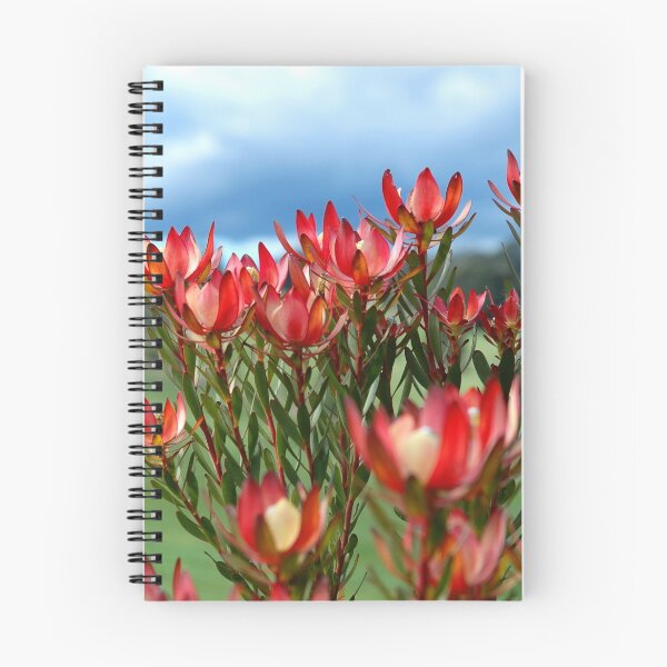 Item preview, Protea flowers designed and sold by Malcolm Garth.