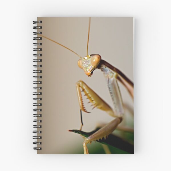Item preview, Mantis Profile designed and sold by Jake Easley.
