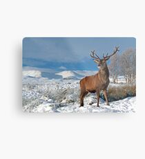 Deer-Stag Metal Print