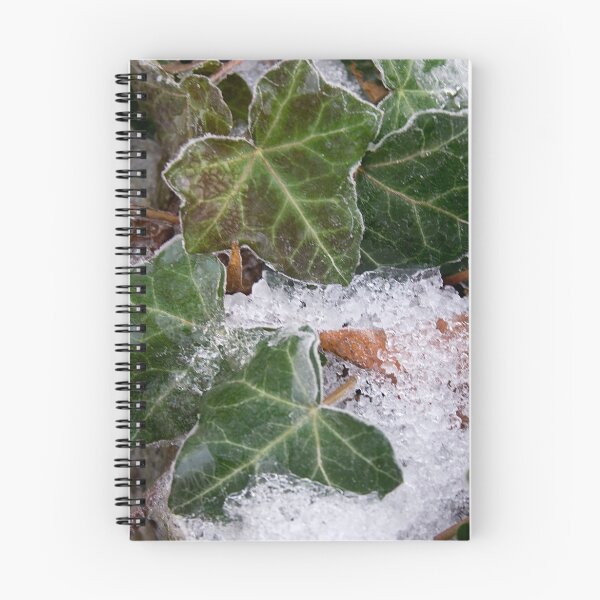 Item preview, Winter Series: Frozen Ivy designed and sold by Dan Cahill.