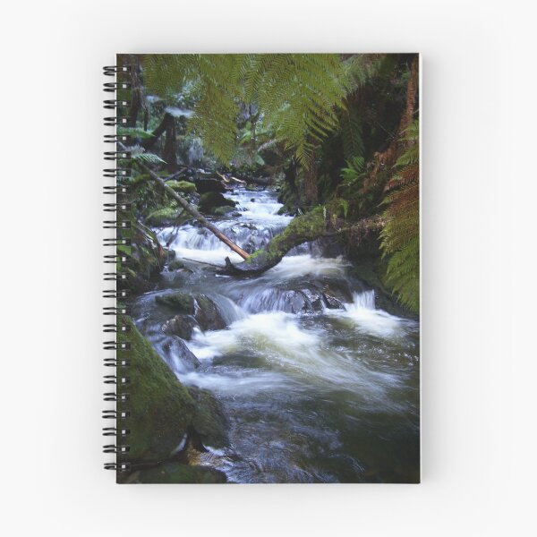 Item preview, creek near Waratah, Tasmania (Australia) designed and sold by Gaylene Norton.
