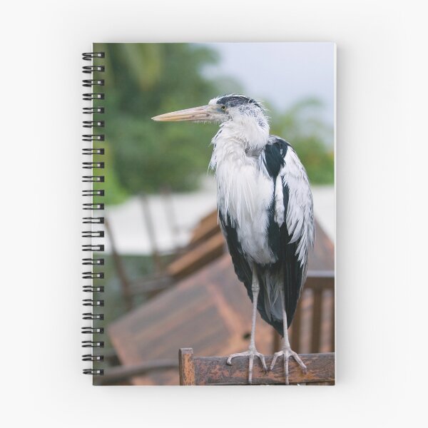 Item preview, solitary designed and sold by kathywaldron.