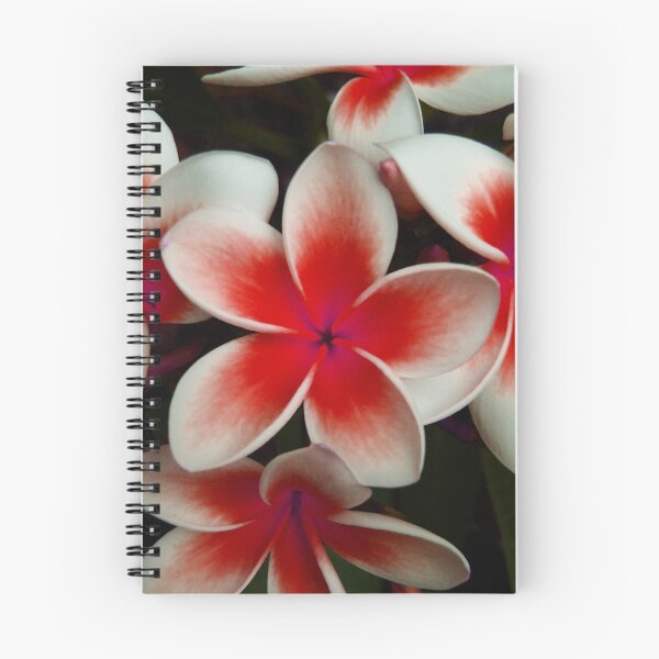 Item preview, Frangipani Red designed and sold by KellieBee.
