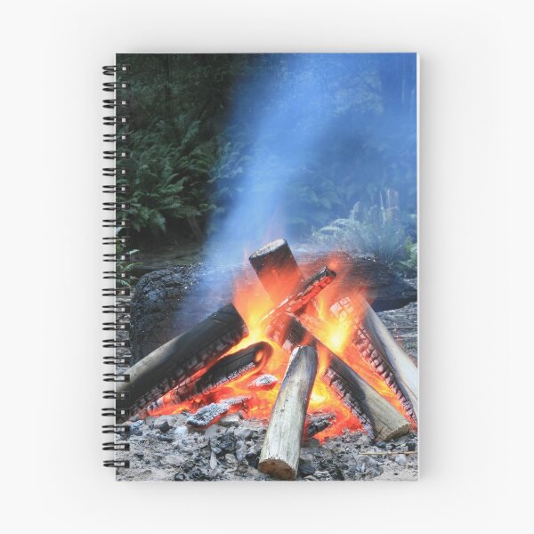 Aperçu de l'œuvre Fire créée et vendue par Patrick Keevil.