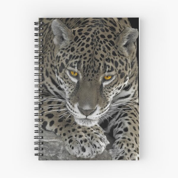 Item preview, Suni designed and sold by Mundy Hackett.