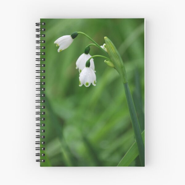 Artikelvorschau, white bells entworfen und verkauft von eyes.