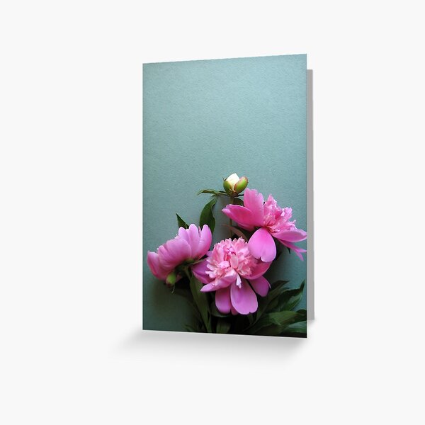 pink peony blooms on green background Greeting Card