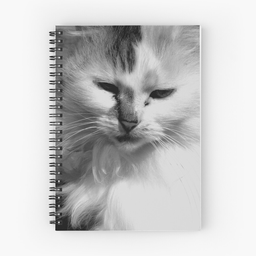 Item preview, Spiral Notebook designed and sold by Giulia.