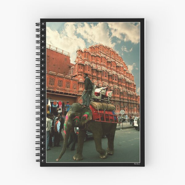 Item preview, Elephant at Hawa Mahal designed and sold by BaciuC.