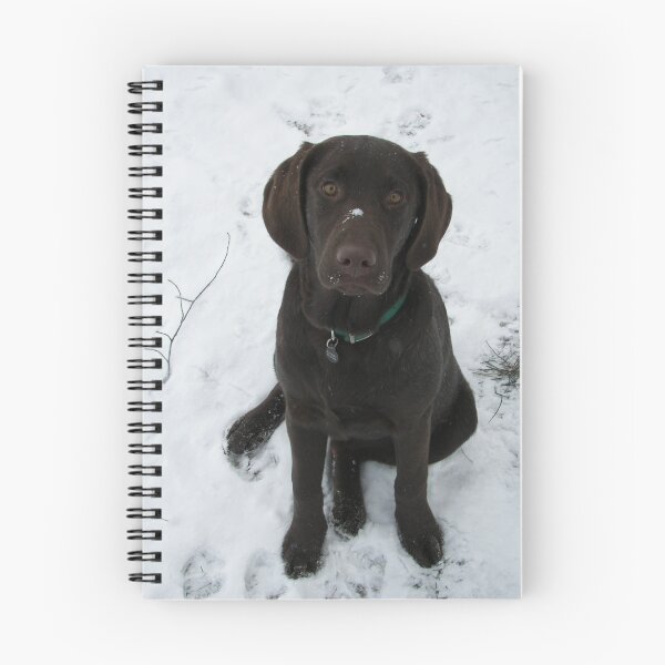 Item preview, Snowy Lab designed and sold by Rachel Beck.