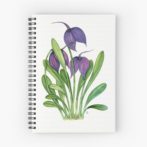 Artikelvorschau, Masdevallia veitchiana entworfen und verkauft von Sue Abonyi.