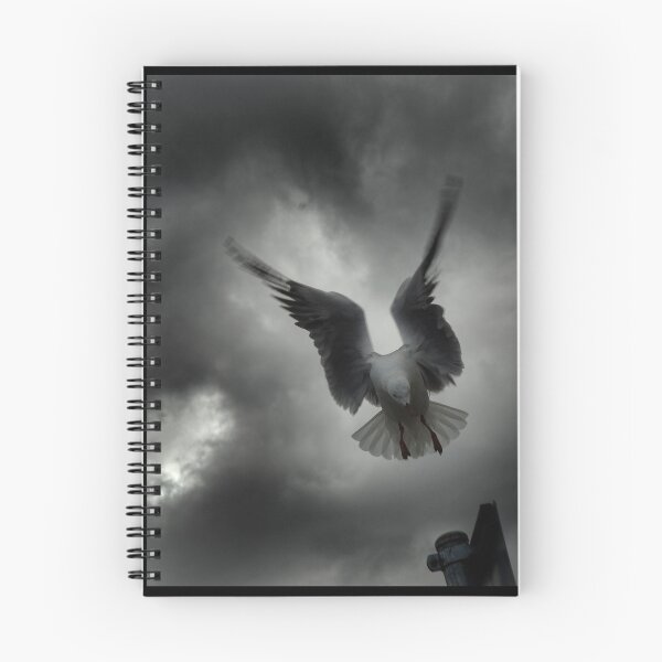 Item preview, doomed bird designed and sold by John Adulcikas.