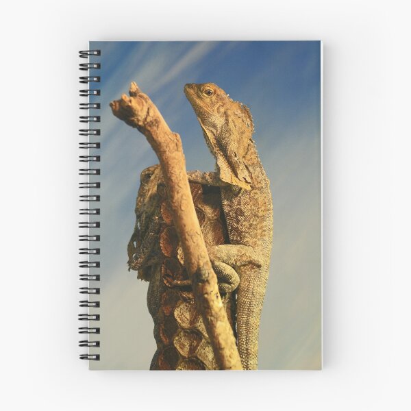 Item preview, Frilled Lizards designed and sold by Sara Lamond.