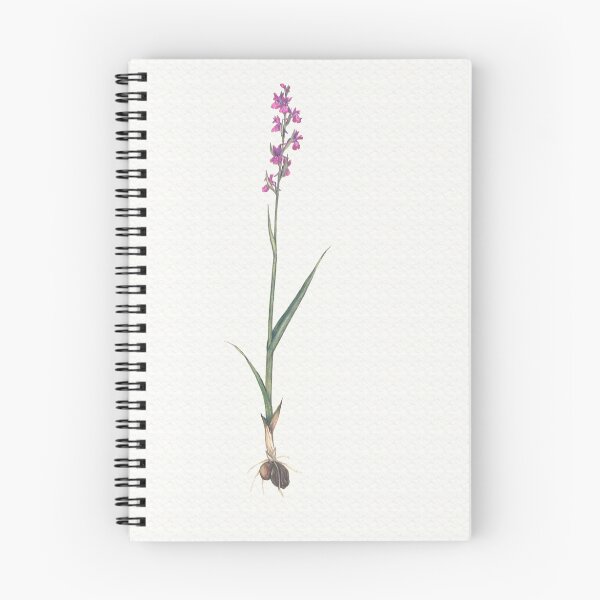 Item preview, Orchis palustris ssp. laxiflora designed and sold by Sue Abonyi.