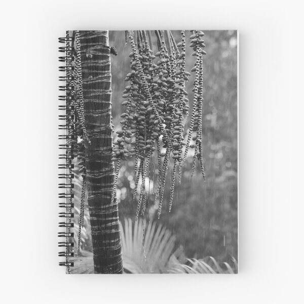 Aperçu de l'œuvre Palm in the rain créée et vendue par Sara Lamond.
