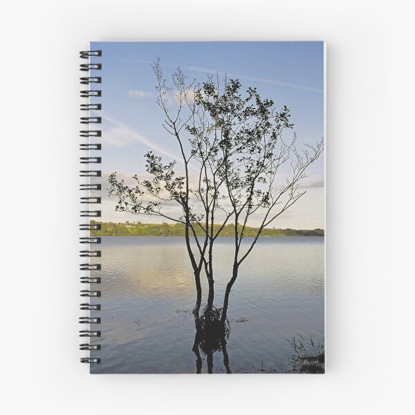 Item preview, Rising Damp designed and sold by WatscapePhoto.