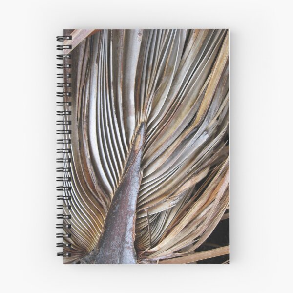 Artikelvorschau, Palm Frond entworfen und verkauft von umauma.