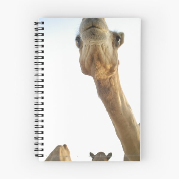 Item preview, MY Camel  designed and sold by Cvail73.