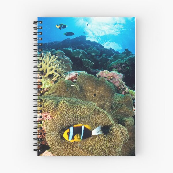 Item preview, Anemonefish designed and sold by David Wachenfeld.