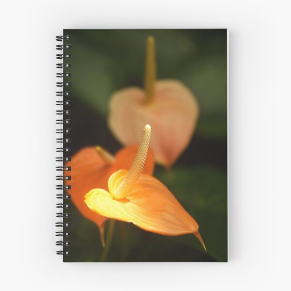 Item preview, Orange glow  designed and sold by Matsumoto.