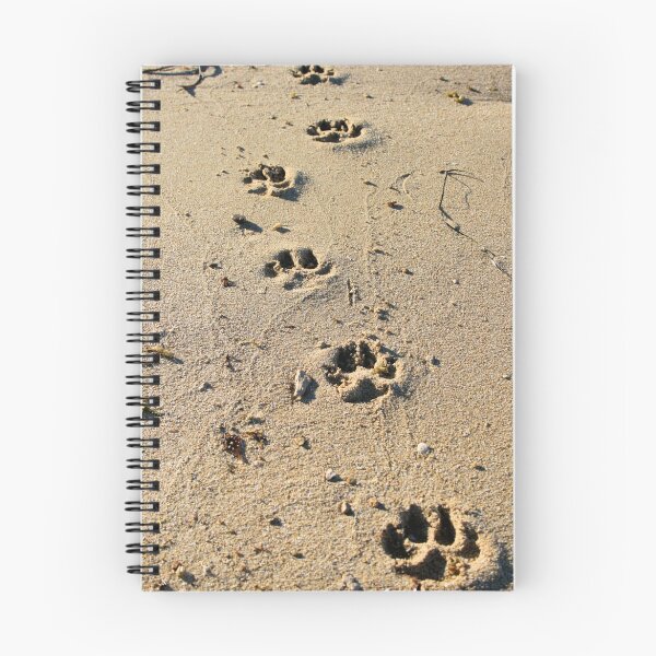 Item preview, "I'm away for a walk" designed and sold by Nathan  Johnson.