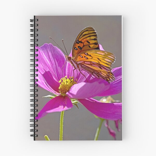 Item preview, Gulf Fritillary Butterfly. designed and sold by Eyal Nahmias.