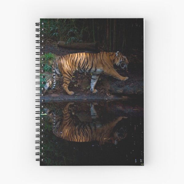 Item preview, Tiger Tiger designed and sold by Sara Lamond.