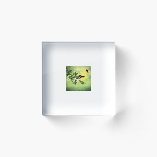 Goldfinch Acrylic Block