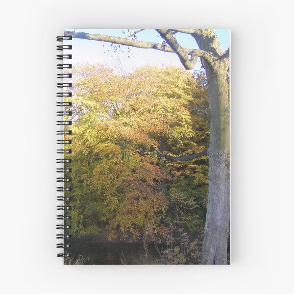 Item preview, Autumn designed and sold by Gartshore.