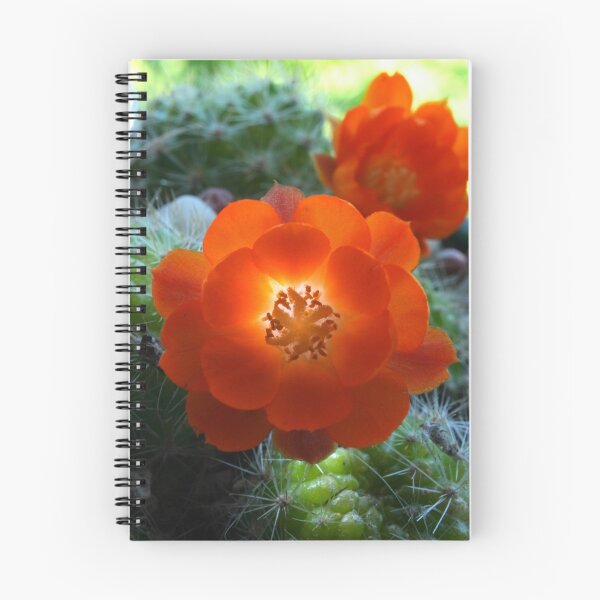 Item preview, Flower macro #3 designed and sold by sjames.