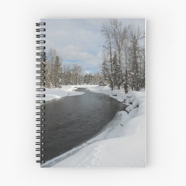 Artikelvorschau, Lake Fork Creek Winter entworfen und verkauft von Janet Houlihan.