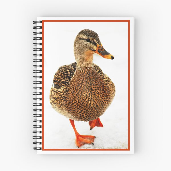 Item preview, Female Mallard Duck designed and sold by Ryan Houston.