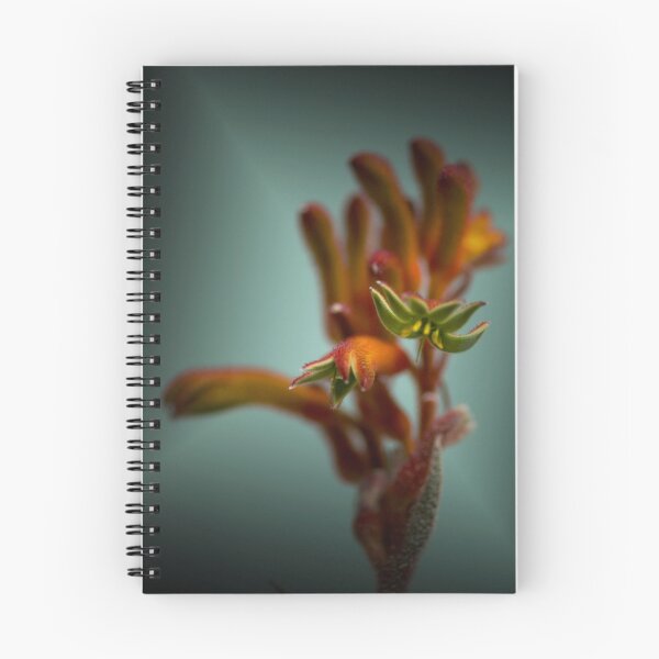 Item preview, RED KANGAROO PAWS designed and sold by hugo.