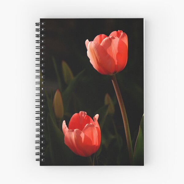 Item preview, Spring Tulips designed and sold by Ryan Houston.