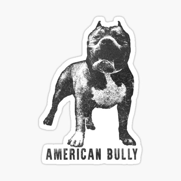 american bully small size