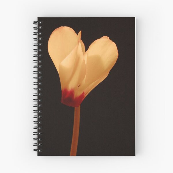 Item preview, Cyclamen designed and sold by ApeArt.
