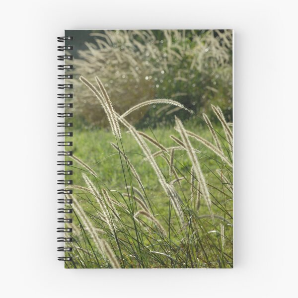 Item preview, Sunshine - Centennial Park, Sydney designed and sold by Jeff Catford.
